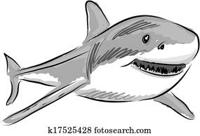 shark illustration shark illustration