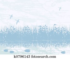 Wetland Wetland