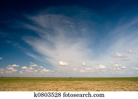 African Plain