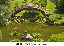 Japanischer Garten Stock Bilder | 1000+ Japanischer Garten Fotos