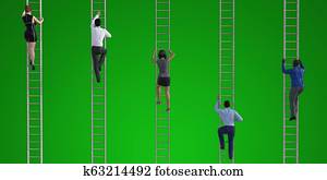 Career Progression Career Progression