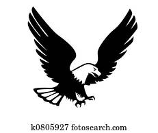 Eagle illustration Eagle illustration