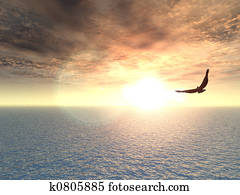eagle eagle