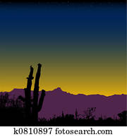 Cactus Desert Mountain Nightfall Cactus Desert Mountain Nightfall