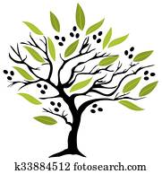 olive tree olive tree