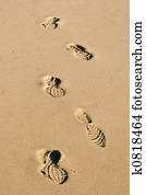 Shoe Prints