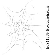 Spider web Spider web