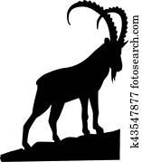 steinbock, auf, dass, gestein steinbock, auf, dass, gestein
