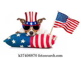 4th of july independence day dog 4th of july independence day dog