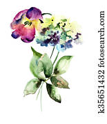 Beautiful Hydrangea and Tulips flowers Beautiful Hydrangea and Tulips flowers