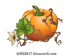 Big pumpkin Big pumpkin
