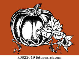 Big pumpkin Big pumpkin