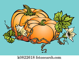Big pumpkins Big pumpkins