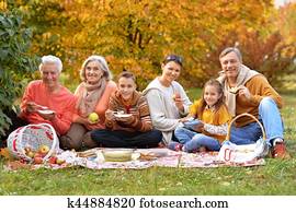 grande, família feliz, ligado, piquenique