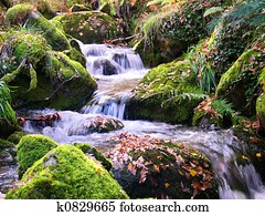 Mountain river Mountain river