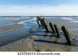mud flats