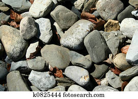 Rocks and dead leaves background