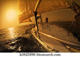 sail boat sail boat