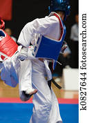 Taekwondo Taekwondo