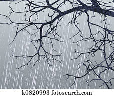 Winter branches Winter branches
