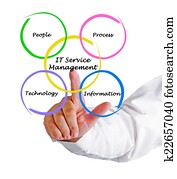 זה, שרותים, ניהול