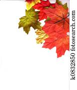 autumn design autumn design