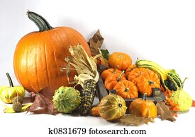 ação graças, Day.