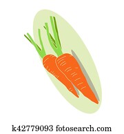 carrot carrot