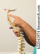 Chiropractor Chiropractor