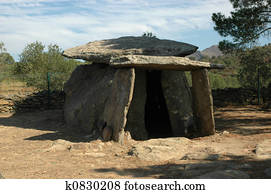 reticulated spine dolmen