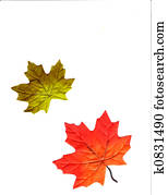 Fall is Near Fall is Near