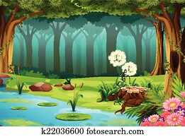 Forest Forest