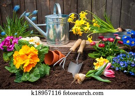 Gardening Gardening