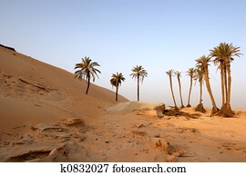 Sahara Desert