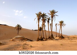 Sahara desert