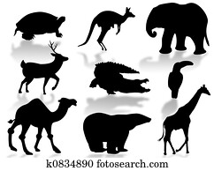 Wildlife Wildlife