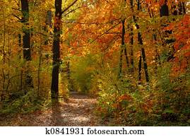 Fall Fall