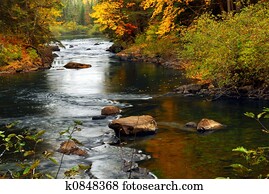 floresta, rio, em, a, outono