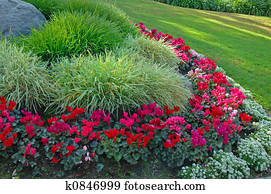Garden Garden