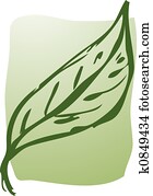 Leaf illustration Leaf illustration