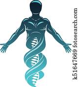 vector, grafisch, illustratie, van, sterke, mannelijke, gemaakt, als, dna, symbool, continuation., biotechniek, als, de, richting, van, genetics.