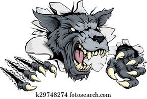 זאב, או, אדם זאב, לקרוע, דרך