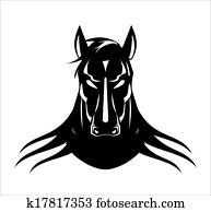 black stallion black stallion