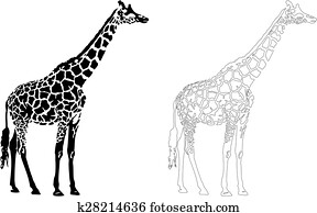 girafa