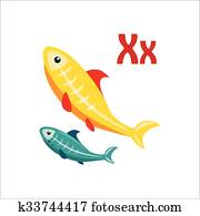 Two X-ray tetra fish (Pristella maxillaris) Stock Photograph