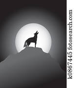 Coyote Howling at the Moon Coyote Howling at the Moon