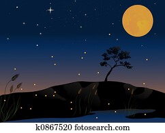 fireflies fireflies