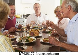 Friends Enjoying Lunch At Home Together