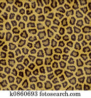 Leopard Fur Leopard Fur