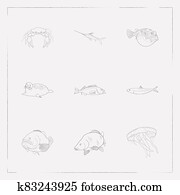 Sardine Stock Illustrations | Our Top 478 Sardine art | Fotosearch